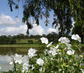 Tour du lịch Đà Lạt